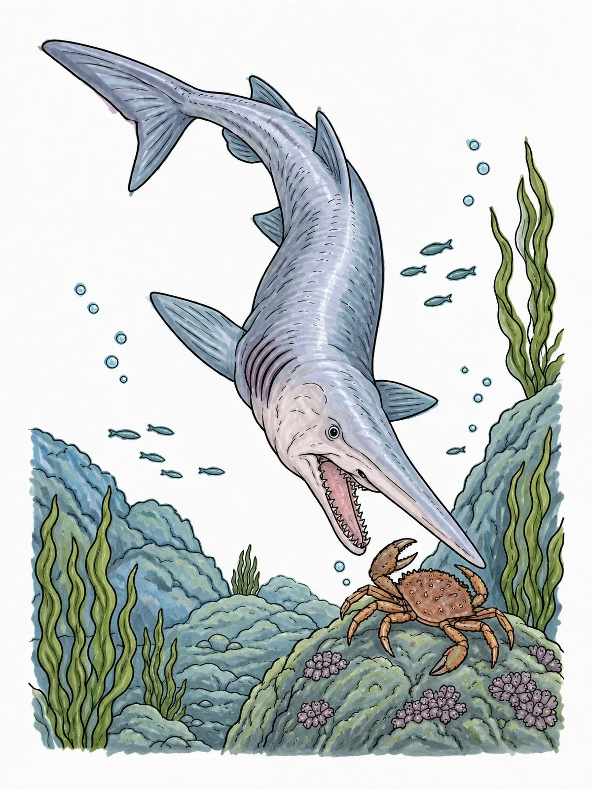 Colored example of the Goblin Shark Hunting Deep Sea Crab coloring page