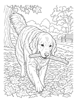 A realistic golden retriever coloring page carrying a thick wooden stick through fallen autumn leaves in a quiet park.