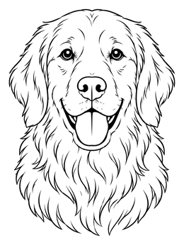 Detailed golden retriever coloring page showing a happy dog portrait with thick, flowing fur.