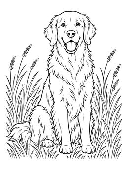 A cheerful dog poses in this golden retriever coloring page surrounded by tall grass.