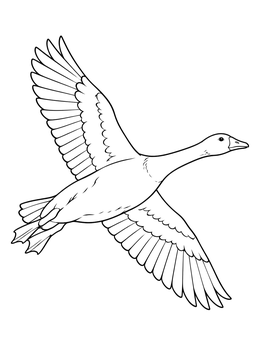 A detailed goose coloring page showing a wild goose gliding through the air with outstretched wings.