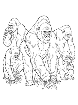 Detailed gorilla coloring page featuring a family troop foraging on leaves.
