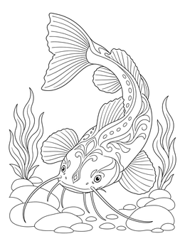 A decorative catfish coloring page swimming gracefully between riverbed stones and plants.