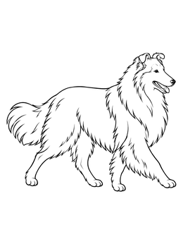 A fluffy dog trots proudly in this detailed collie coloring page.