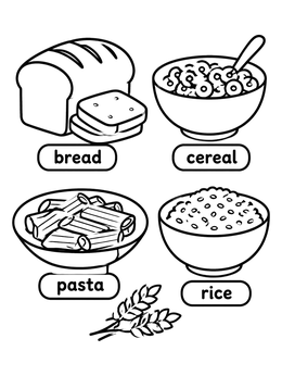 Free printable Grain Foods Educational Chart coloring page