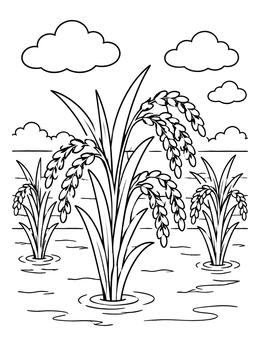 Free printable Rice Plants In Flooded Field coloring page
