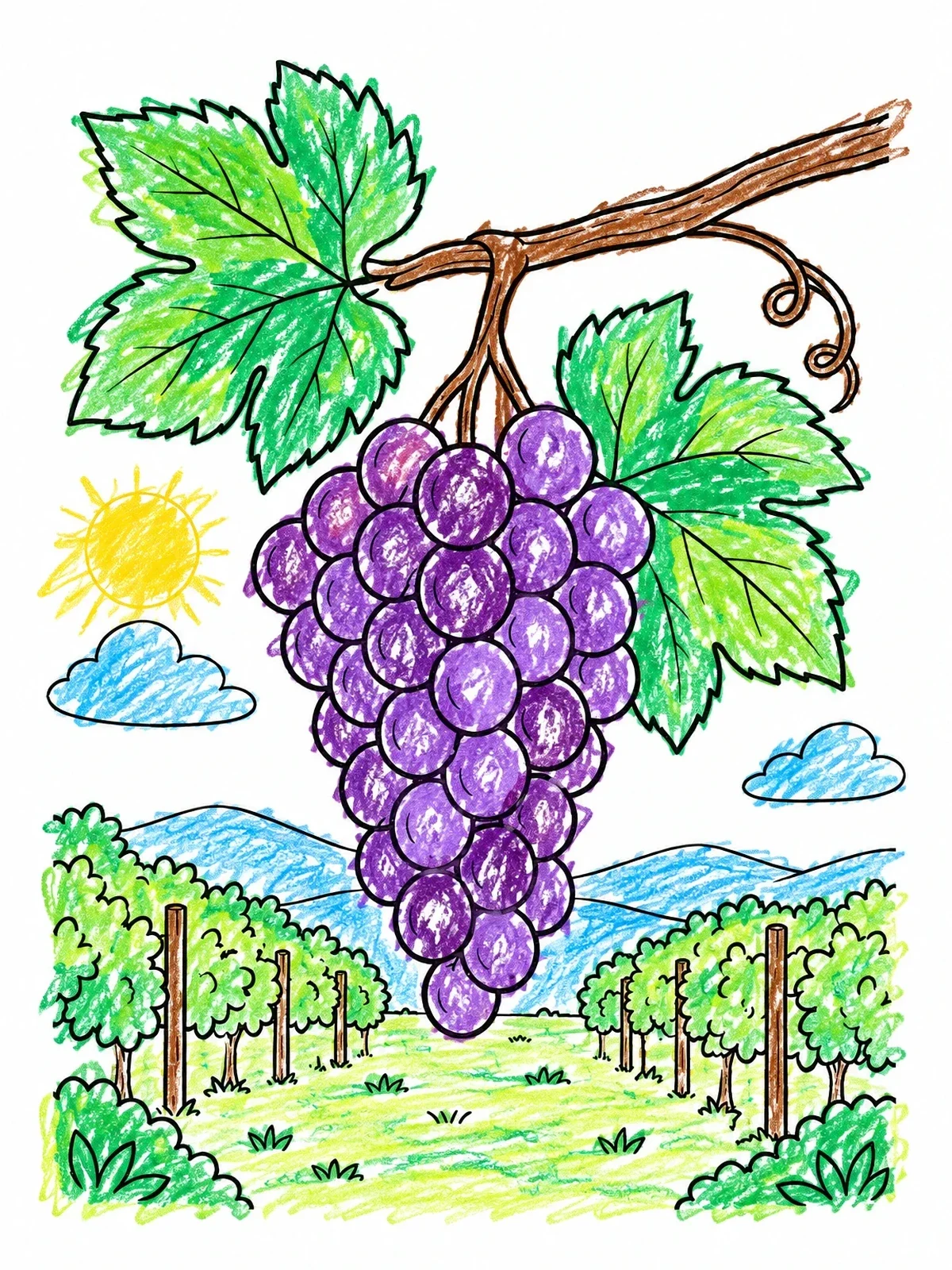 Colored example of the Grape Bunch In Vineyard coloring page
