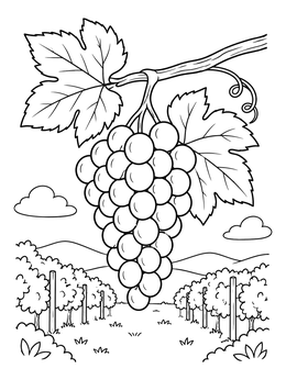 A detailed grapes coloring page showing a ripe bunch on the vine against rolling vineyard hills.