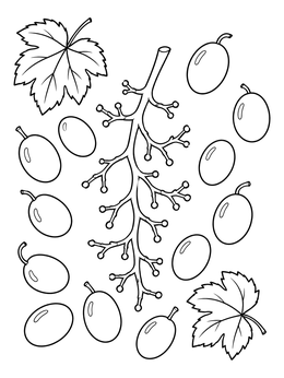 A detailed grapes coloring page showing an empty grape stem surrounded by loose berries and vine leaves.
