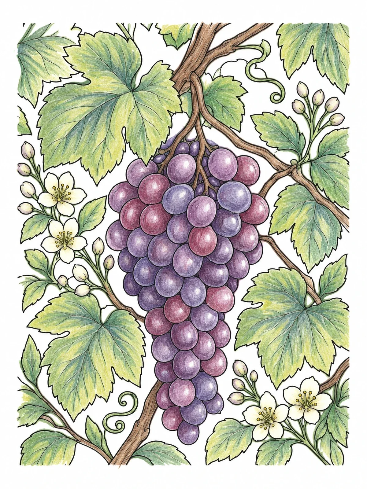 Colored example of the Lush Grape Bunch On The Vine coloring page