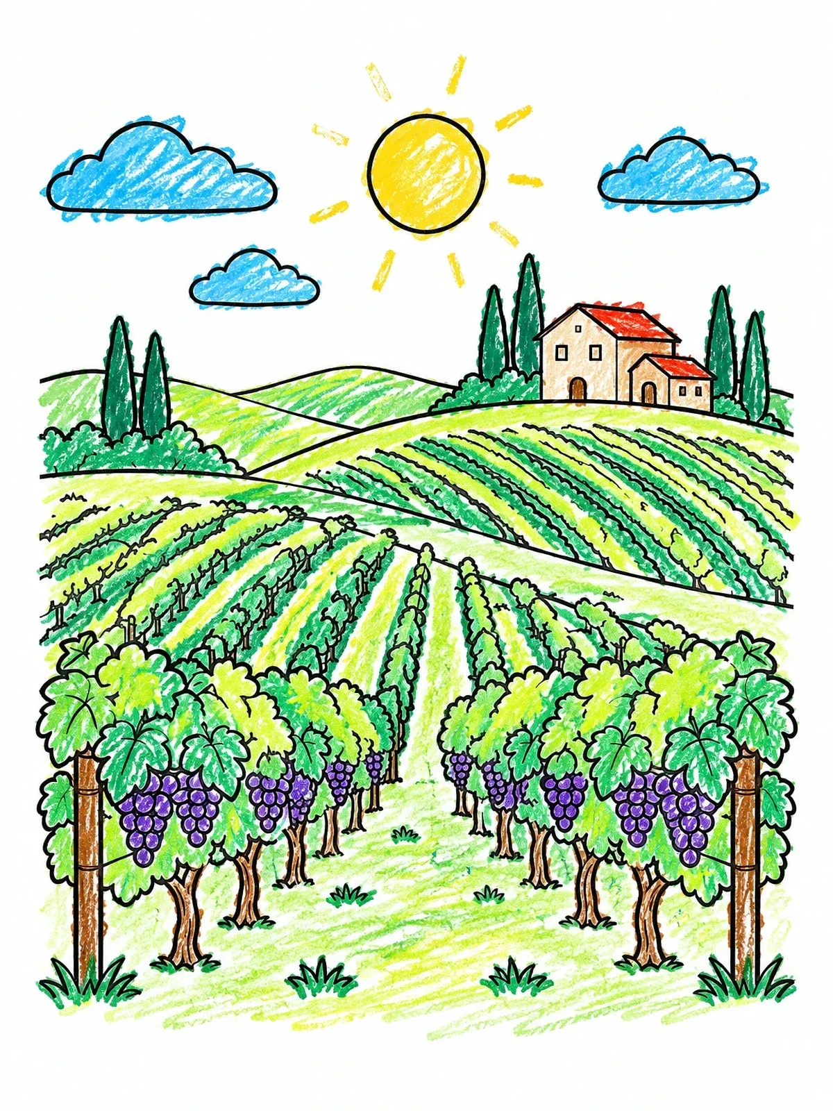 Colored example of the Sunny Rolling Vineyard Landscape coloring page