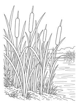 Free printable Cattails And Reeds By The Pond coloring page