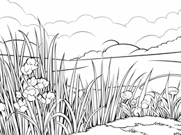Grass Coloring Pages 51 Free Printables
