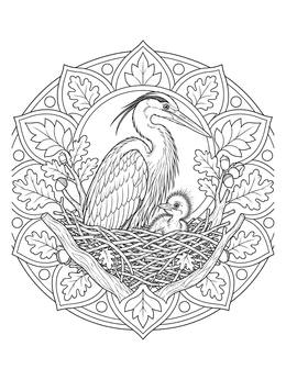 A detailed great blue heron coloring page featuring a parent and fluffy chick in a nest surrounded by oak leaves.