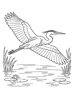 A detailed great blue heron coloring page showing the bird flying gracefully over a calm pond.