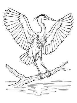 Free printable Great Blue Heron With Wings Spread coloring page