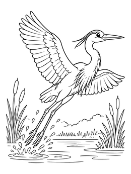Free printable Great Blue Heron Taking Flight coloring page