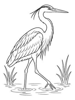 Free printable Great Blue Heron Wading In Water coloring page