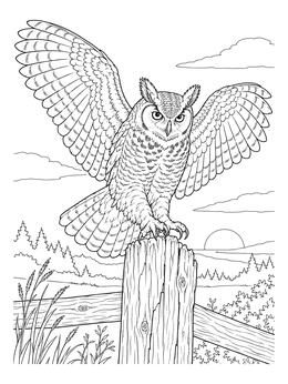 A detailed owl coloring page featuring a great horned owl landing on a wooden fence at sunset.