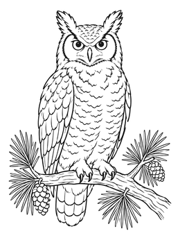 A detailed owl coloring page featuring a horned owl perched on a pine bough.