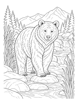 A realistic bear coloring page featuring a grizzly standing on river stones against mountain peaks.