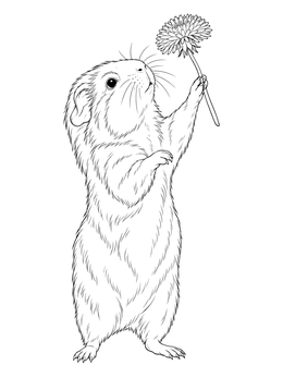 Free printable Guinea Pig Reaching For Dandelion coloring page
