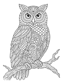 Free printable Intricate Zentangle Owl On Branch coloring page