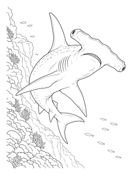 A detailed hammerhead shark coloring page swimming gracefully near a vibrant coral reef.