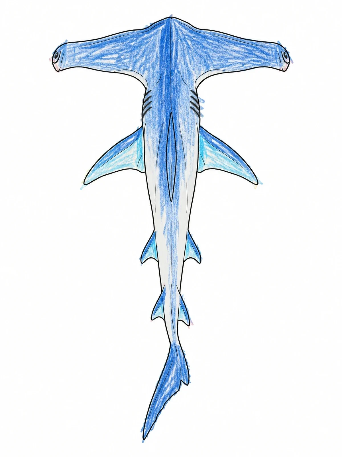 Colored example of the Hammerhead Shark From Above coloring page