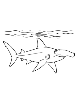 A detailed hammerhead shark coloring page swimming beneath gentle ocean ripples.