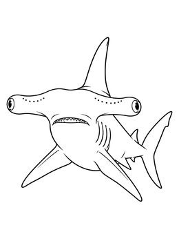 A front view in this hammerhead shark coloring page showing its wide head and dorsal fin.
