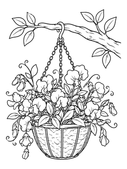 Free printable Hanging Basket With Sweet Peas coloring page