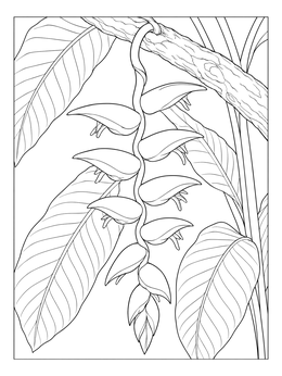 Free printable Hanging Heliconia With Lush Leaves coloring page