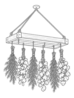 A rustic wooden herb coloring page featuring bundles of herbs hanging from ropes to dry.