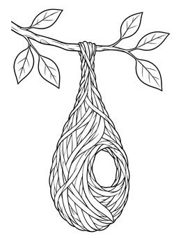 A detailed bird nest coloring page showing a woven pouch hanging from a leafy branch.