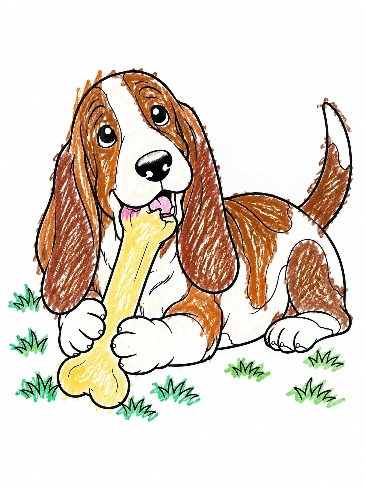 Colored example of the Happy Basset Hound With Bone coloring page