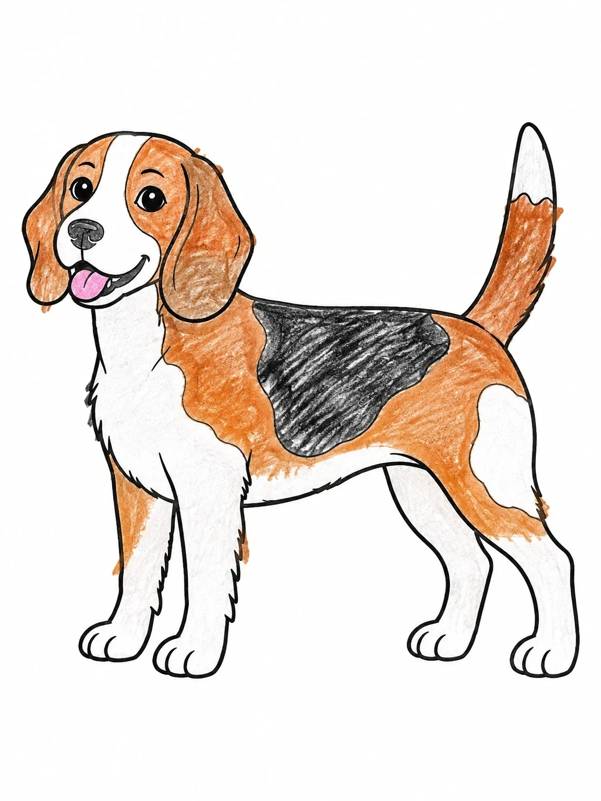 Colored example of the Happy Beagle Standing In Profile coloring page