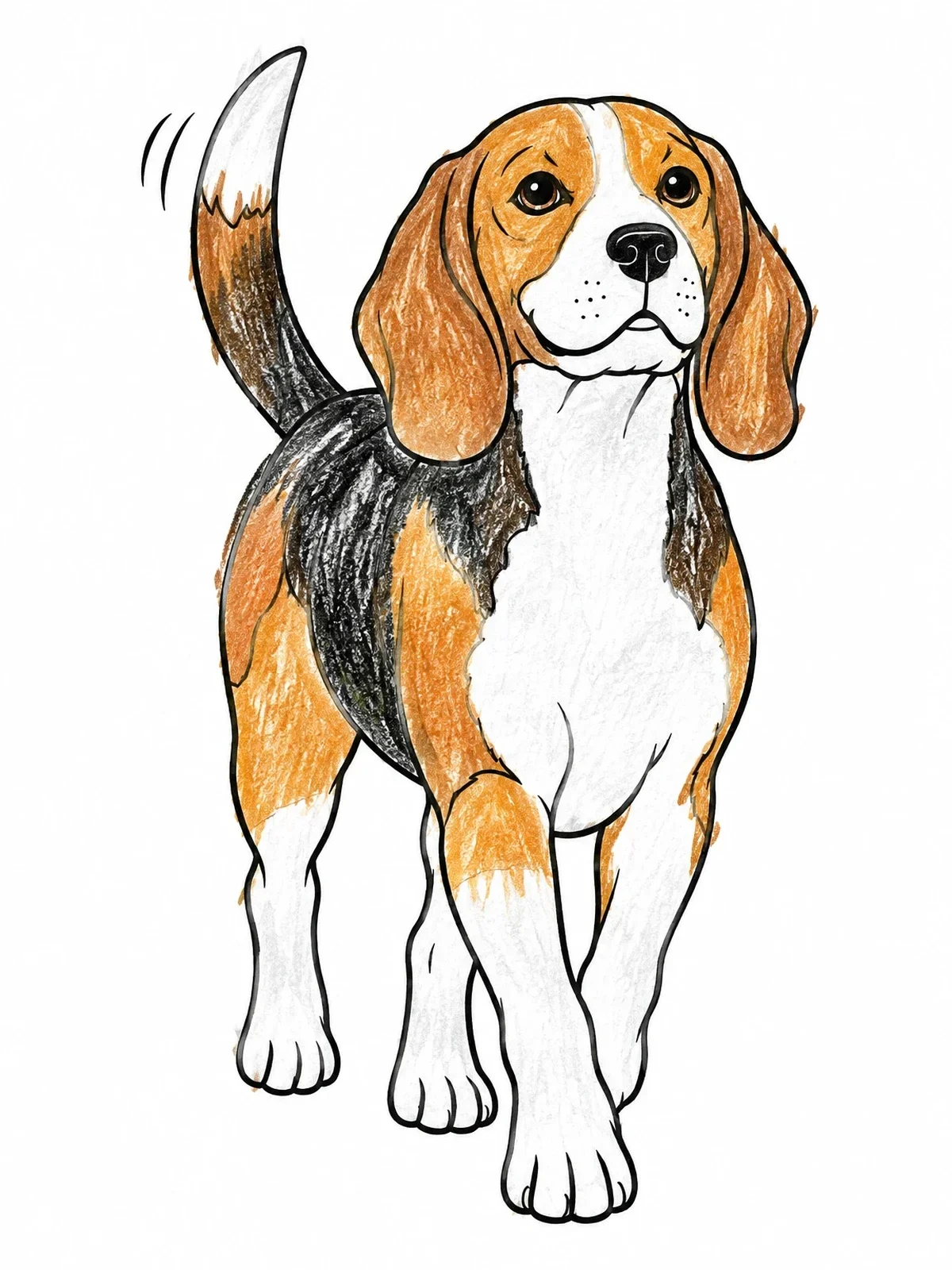 Colored example of the Happy Beagle Walking Forward coloring page
