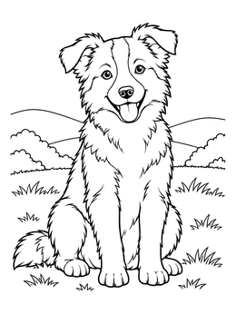 Free printable Happy Border Collie In The Meadow coloring page