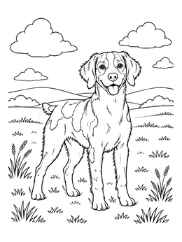 Free printable Happy Brittany Dog In Grassy Field coloring page