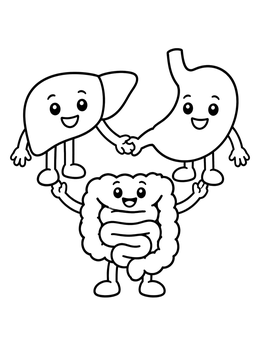 Free printable Happy Cartoon Digestive Organs coloring page