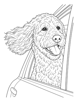 A joyful goldendoodle looking out a car window in this doodle coloring page.
