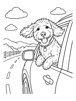 Free printable Happy Labradoodle On A Car Ride coloring page