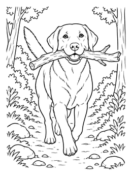 A cheerful labrador retriever coloring page featuring a dog carrying a large stick on a path.
