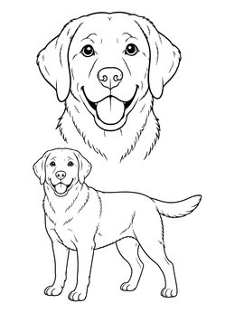 Free printable Happy Labrador Retriever Portrait And Full Body coloring page