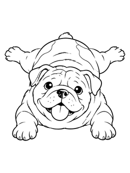 Free printable Happy Splooting Bulldog Puppy coloring page