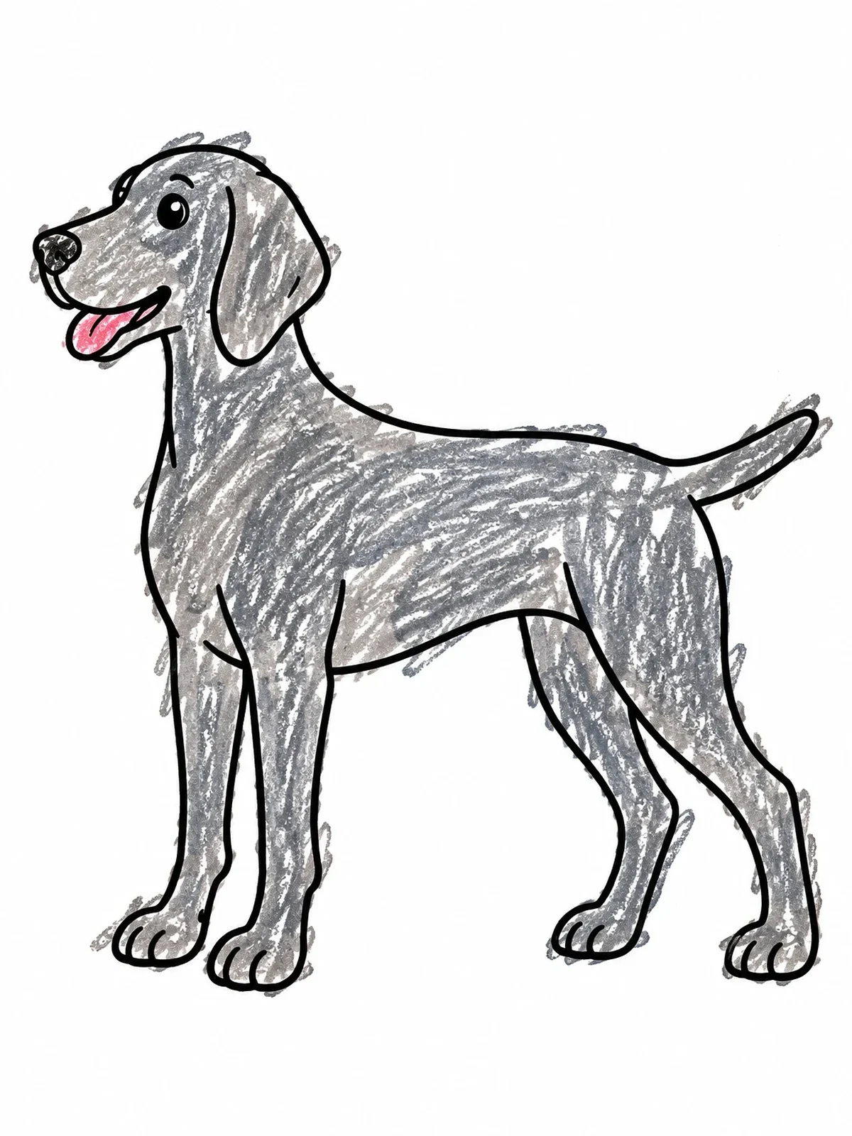 Colored example of the Happy Standing Weimaraner Dog coloring page