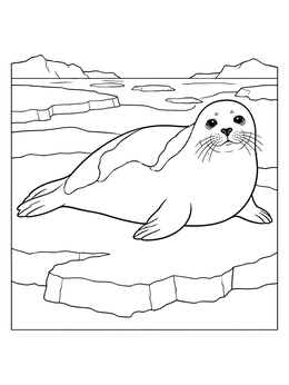 A cute seal coloring page showing a harp seal resting on cold arctic pack ice.