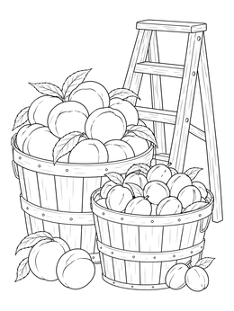 Wooden baskets filled with fruit by an orchard ladder in this harvest coloring page.
