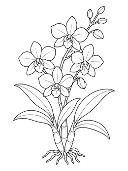 Detailed hawaiian flowers coloring page showing a blooming dendrobium orchid plant with roots.